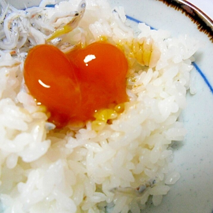 簡単おいしい　卵黄の醤油漬け　ごはんが進む！